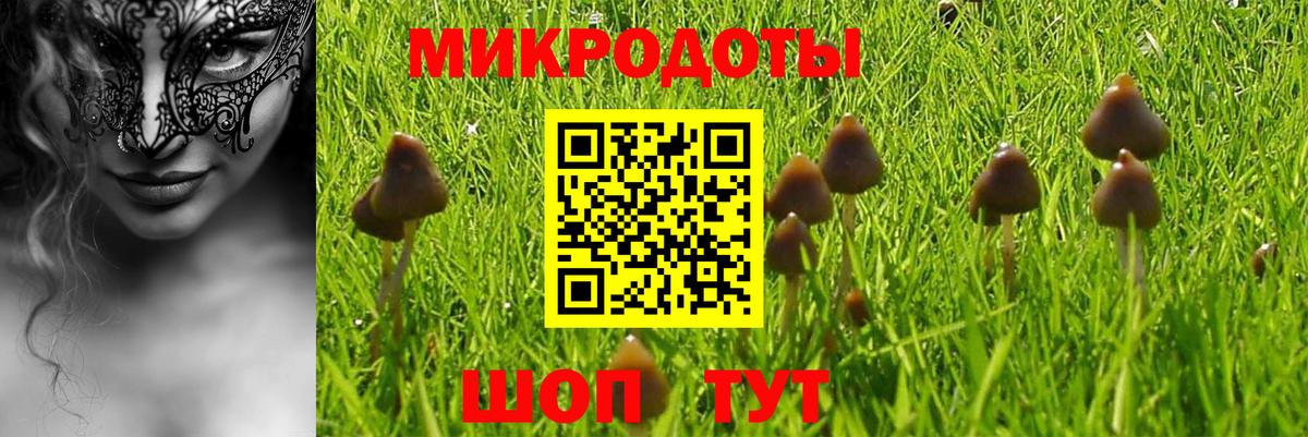 Псилоцибиновые грибы прущие грибы  закладка  Северобайкальск  Вход с VPN 